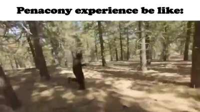 How it feels to be a delivery person in Penacony