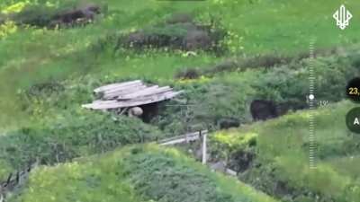 Ukrainian UAV operators from the Spartan Brigade destroy Russian shelters and infantry, Pokrovsk direction. 25.05.2025