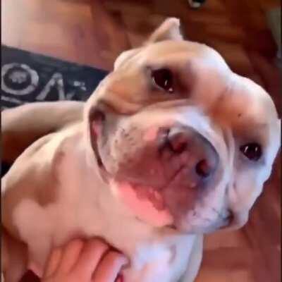 When Bruce streams and you had a bad day