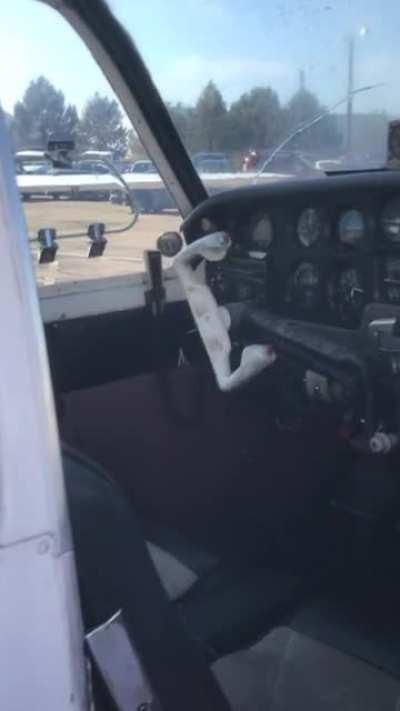 GA customer states “ghosts in cockpit”