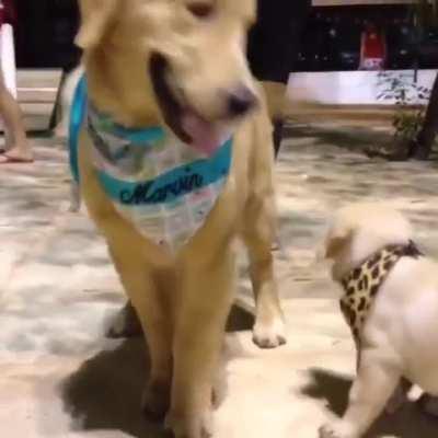 Sometimes losing is winning