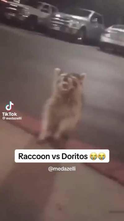 Late todo ardido cuando le dicen que ya prendio mauu 