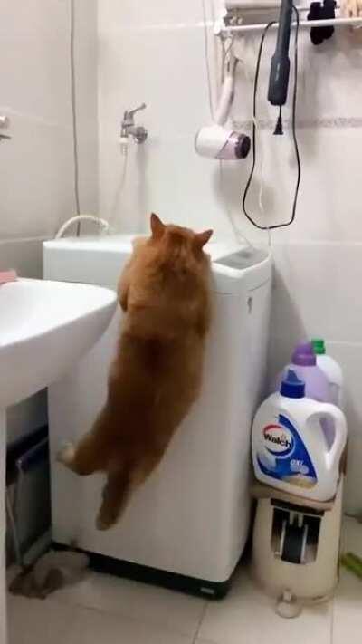 Pull-up game...weeeak