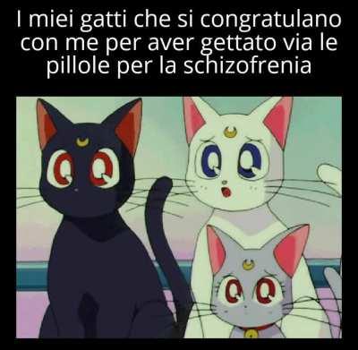 Grazie padrone