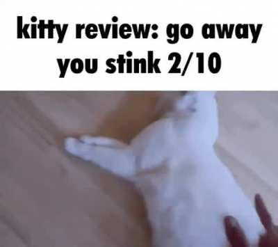 Kitty Review: