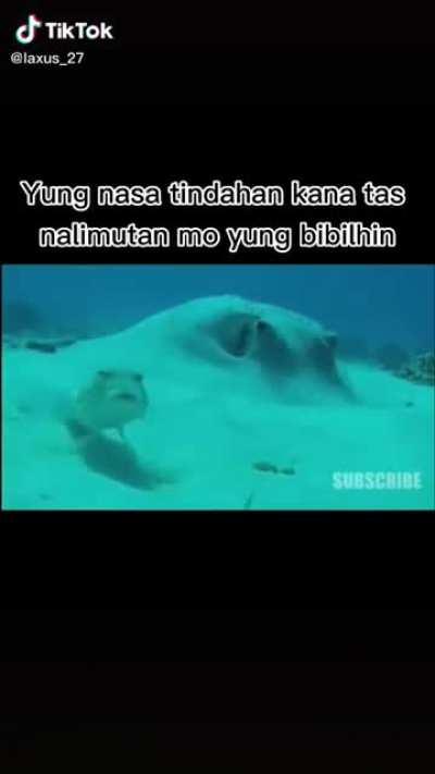 Sana makita ni kuya kris🤣