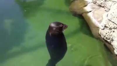 Solo mira y relajate😌