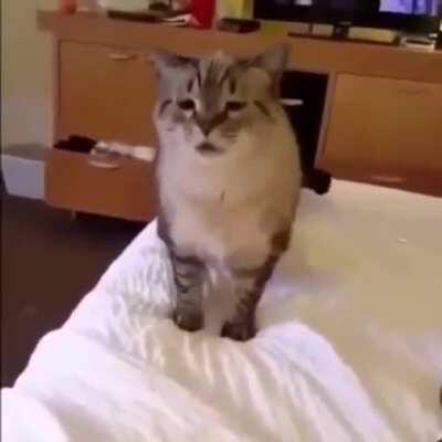 Allergy season is back with a vengeance, kids.