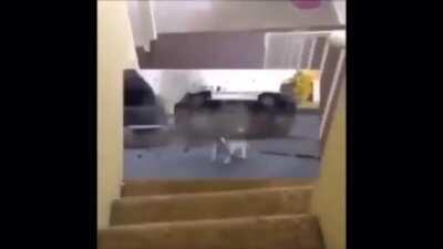 Epic Peter Griffin moment