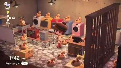 My bell laundering operation💰💵💷💶💴