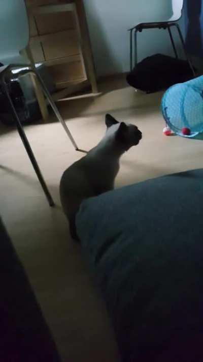 Check out my new alarm clock