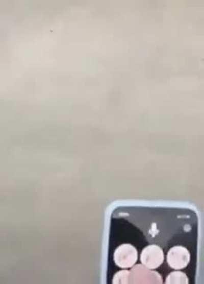 Скачал переводчик с рейтингом егонного 3.5