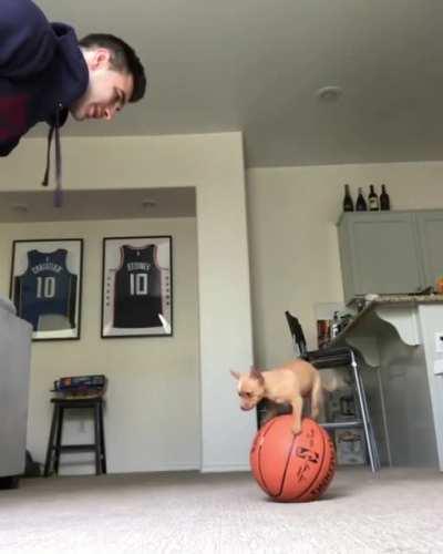 HMK While I balance on a ball.Success