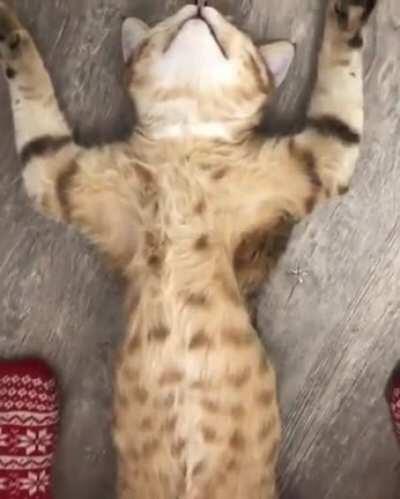 Wonder what he's doing...