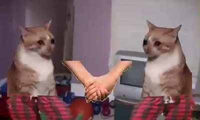 what if we held hands