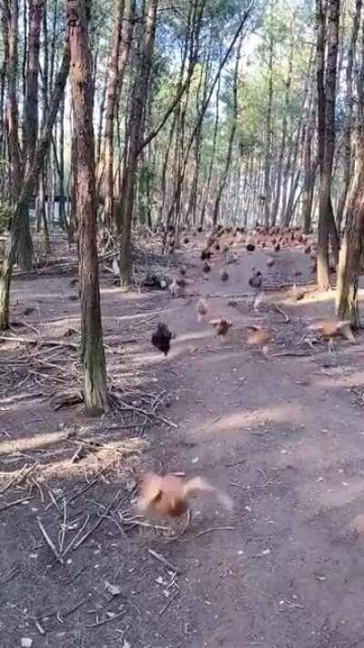 With the valor of a true hero!