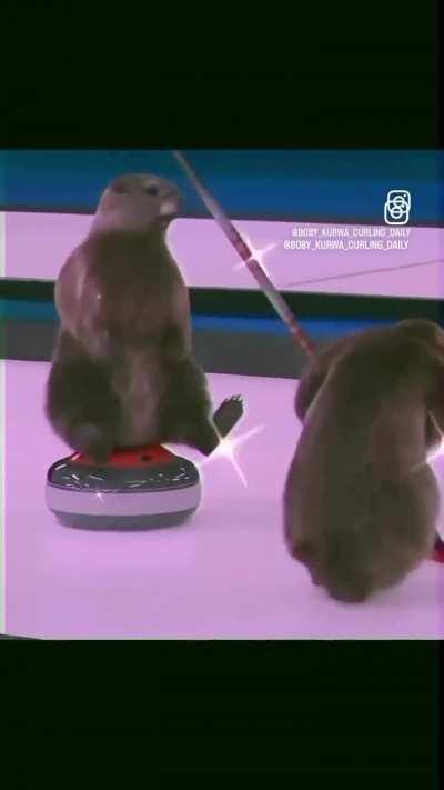 wtf is going on in poland