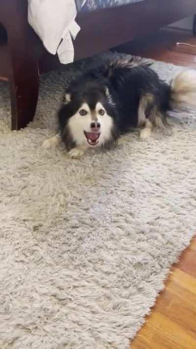 Keanu’s post bath song.