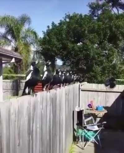 🔥 Witchcraft summoning in the making 🔥