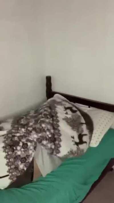 FINALMENTE UM SHORT BOM