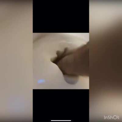 Is MayOnAise an InStRument