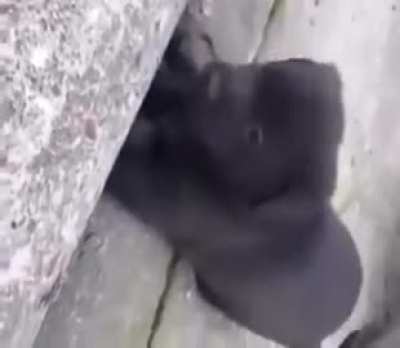 💀💀💀💀💀💀💀💀