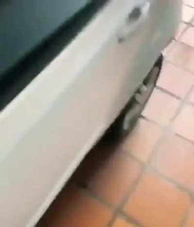 mimimi mInHa PrImEiLa VeZ aQuI (pior que é mas VAMOS ESQUECER ESTE DETALHE) anyway, to, uma video aleatório só pra marcar presença