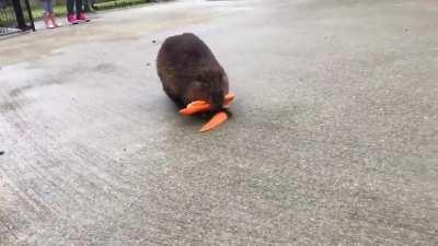 Me at the grocery store after telling myself I didn’t need a cart cause I was only picking up a few items.