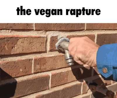 this is what will happen to vegans