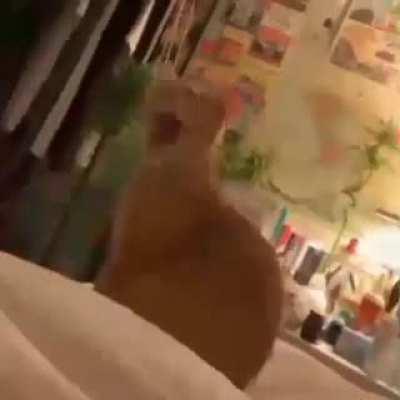 r/dragonsfuckingdragons