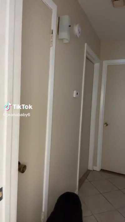 My favorite color of pink