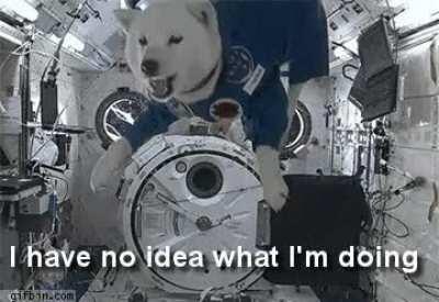 full video of space doggo :)
