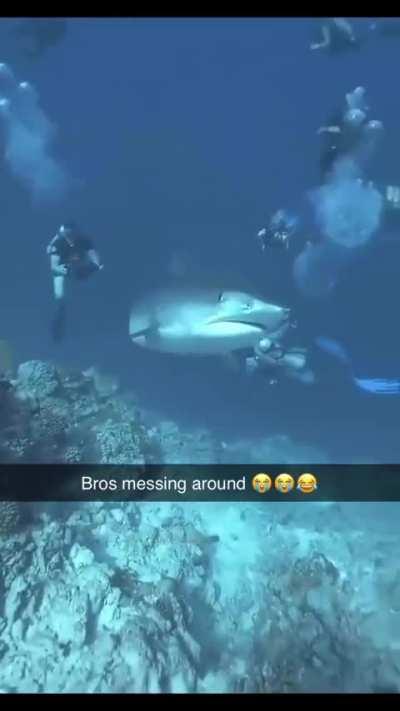 Bro just messing around yo 💀