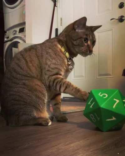 SIC rolls for initiative