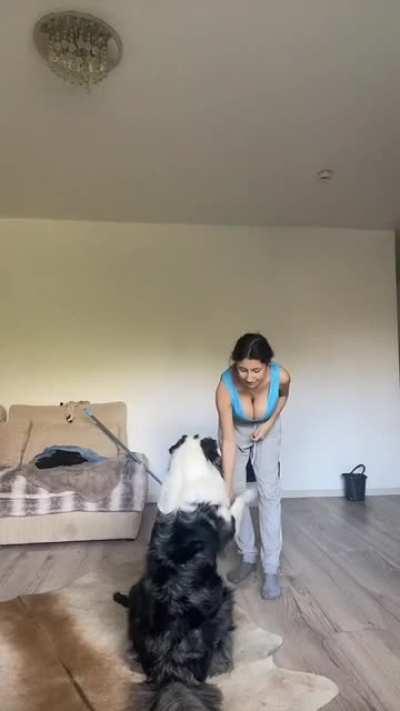 the best dog trainer