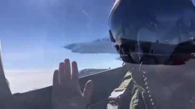 Turkish F-4E pilot trying to tickle friend's wild animal.