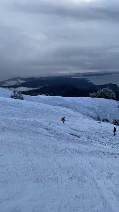 Fresh powder day in the bay??