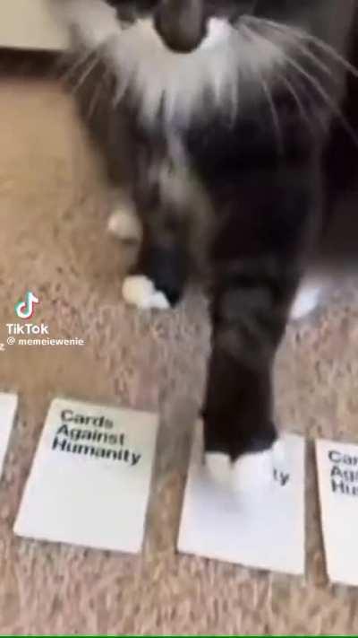 😂😂😂 please put this in your video it’s wholesome