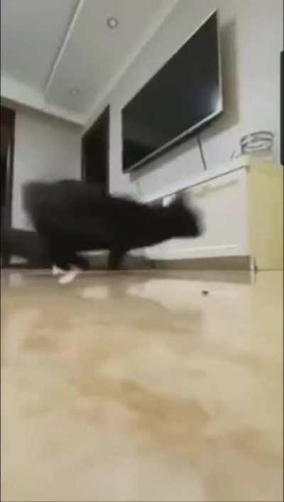 Need for Speed - Dinner Drift