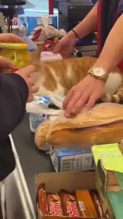 C@ installed in shop