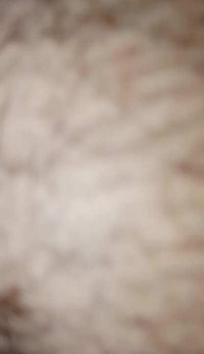 Desi wife with wet chut and boobs..