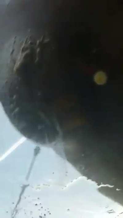 I don't eve know what to say