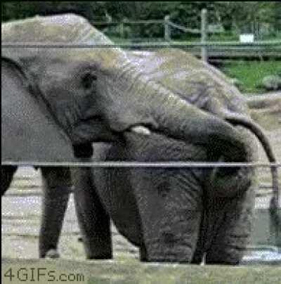 When the homie eats the last wing but you know it isn’t over yet