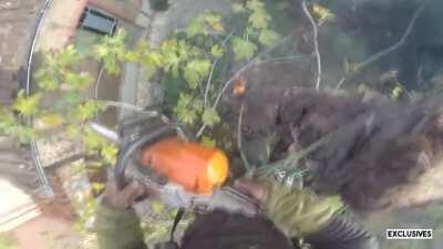 WCGW throwing burilning wood down a tree