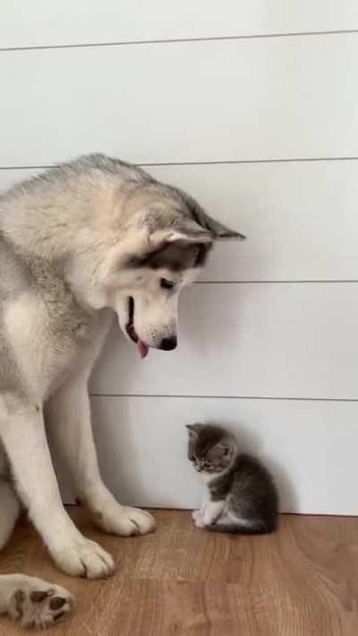 An unlikely friendship