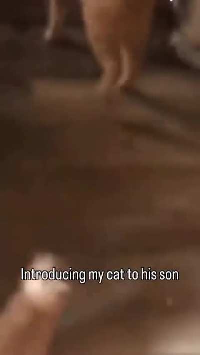 Wunkther is gonna go grab some milk