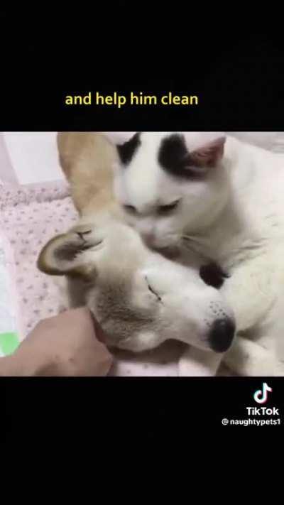 I will catch you when you fall