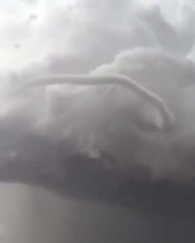 Guy realizes he's about experience a tornado first hand