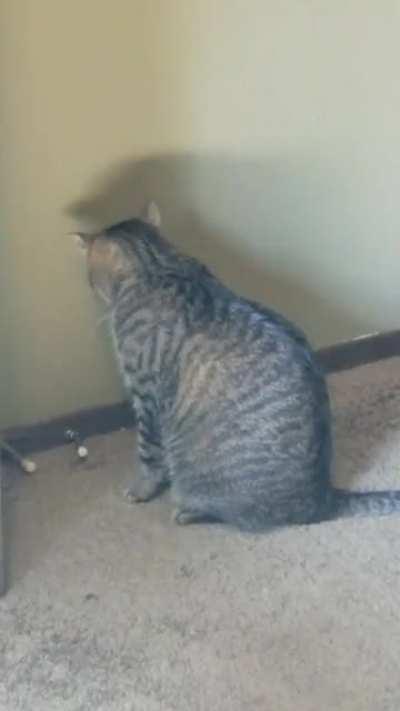 he discovered the door stop today