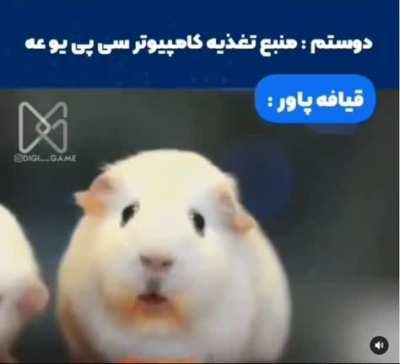 اولین میمم امیدوارم خوشتان بیاد